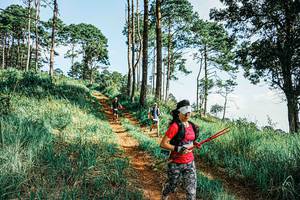 BIB: 
                            <button type="button" onclick="openModal(25675567)" class="btn btn-primary btn-sm float-right btn-popup" data-toggle="modal" data-target=".modal-high-quality">
                        <i class="fas fa-shopping-cart"></i> Add to Cart
                    </button>
                                            <button type="button" onclick="isThisMe(25675567, true)" class="btn btn-success btn-sm float-right btn-popup btn-isme hidden" data-toggle="tooltip" data-placement="bottom" title="นี่คือรูปของคุณใช่ไหม คลิกที่นี่เพื่อเอาเข้าอัลบั้ม">
                        <i class="fas fa-plus"></i> Add to album
                    </button>
                    <button type="button" onclick="isThisMe(25675567, false)" class="btn btn-warning btn-sm float-right btn-popup btn-isnotme hidden">
                        <i class="fas fa-ban"></i> Remove from album
                    </button>